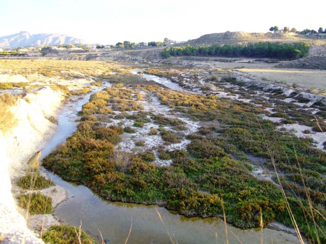 La Comunidad adquiere terrenos en Ajauque y Río Chícamo para asegurar la conservación de los espacios protegidos - 1, Foto 1