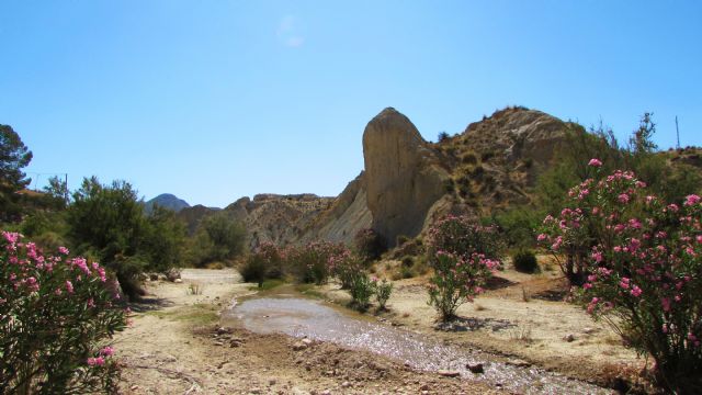 La Comunidad adquiere terrenos en Ajauque y Río Chícamo para asegurar la conservación de los espacios protegidos - 2, Foto 2