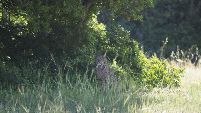 D Hábitat, premio Nacional BBVA a la Conservación de la Biodiversidad (ABC) - 1, Foto 1