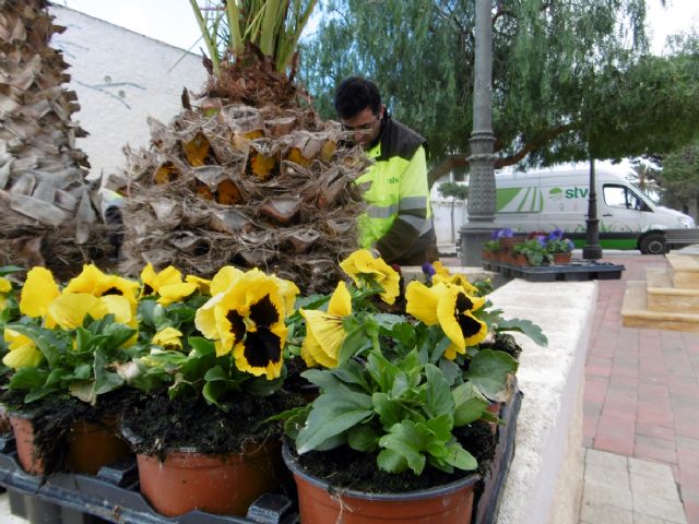 Más de 200 flores embellecerán la pedanía de Valladolises con motivo de las fiestas de la Candelaria - 1, Foto 1