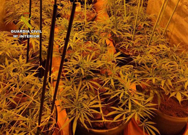 La Guardia Civil desmantela en Murcia una plantación de marihuana tipo indoor - 3, Foto 3