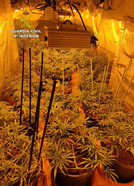 La Guardia Civil desmantela en Murcia una plantación de marihuana tipo indoor - 4, Foto 4