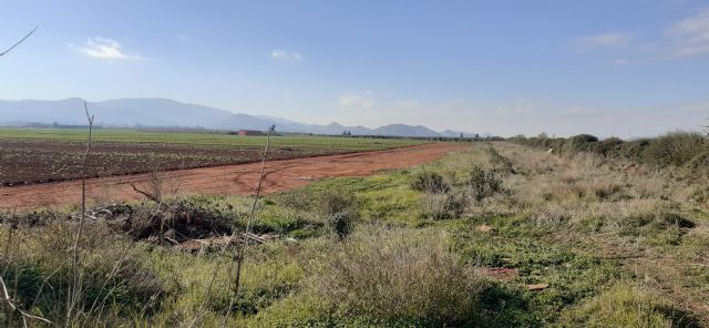 El Gobierno regional establecerá un corredor ecológico alrededor del Mar Menor - 1, Foto 1