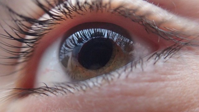 Una de cada 200 personas mayor de 40 años tiene glaucoma - 1, Foto 1