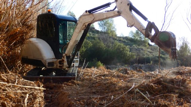 ANSE sustituye 100 metros de orilla de caña por bosque de ribera en Cañaverosa - 1, Foto 1