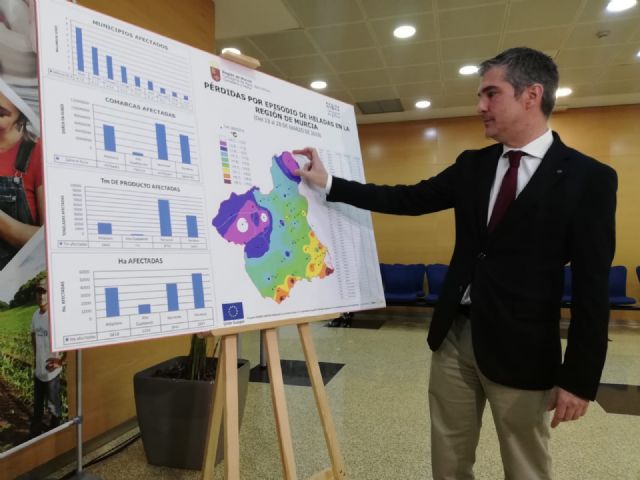 Las últimas heladas en la Región ocasionan unas pérdidas de más de 27,4 millones - 2, Foto 2