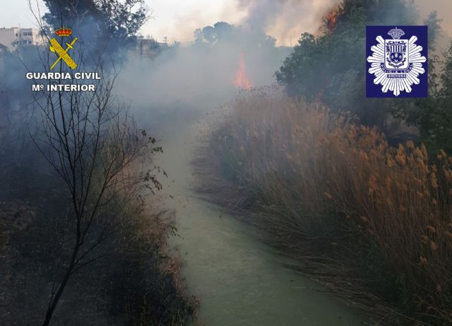 La Guardia Civil y la Policía Local de Archena esclarecen un incendio forestal provocado en la ribera del río Segura - 1, Foto 1