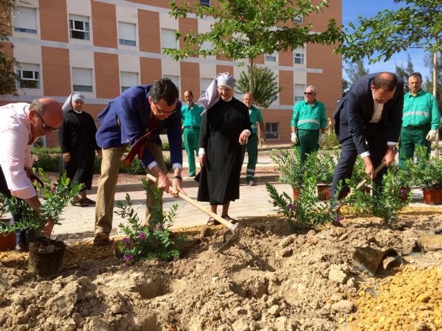 Plantación solidaria de un centenar de arbustos con flor en la Residencia de Mayores de las Hermanitas de los Pobres - 2, Foto 2