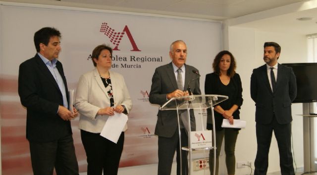 La Asamblea aprueba por unanimidad la moción socialista para la firma de convenios con los Aytos. de la Región para garantizar una red de recarga pública de vehículos eléctricos, Foto 1