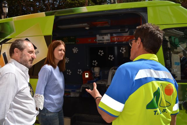 Águilas, primer municipio de la Región que pone en marcha un servicio gratuito de acogida de mascotas para personas hospitalizadas - 2, Foto 2