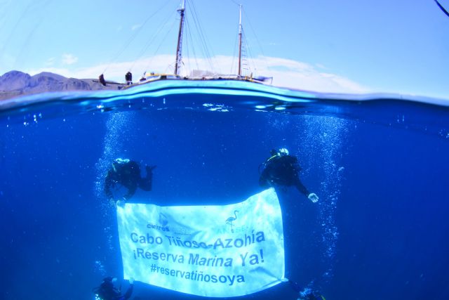 Reclaman la urgente declaración de la reserva marina de Cabo Tiñoso-Azohia - 1, Foto 1