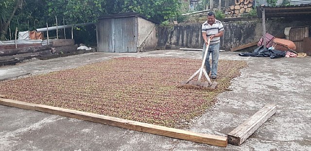 EthicHub comercializará el café de sus agricultores - 1, Foto 1