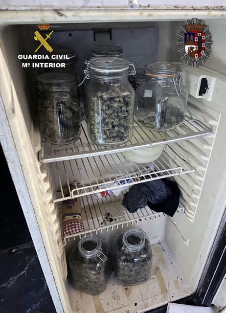 Desmantelan un punto de cultivo y elaboración de marihuana en una casa cueva - 3, Foto 3