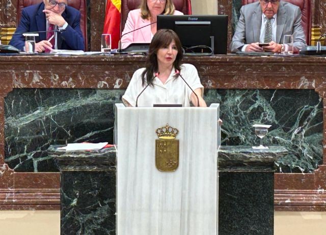 El PSOE afirma que la consejera de Salud 'sólo ha venido a la Asamblea Regional a mentir e intentar tapar el escándalo de las prótesis caducadas' El PSOE afirma que la consejera de Salud 'sólo ha venido a la Asamblea Regional a mentir e intentar tapar el escándalo de las prótesis caducadas'