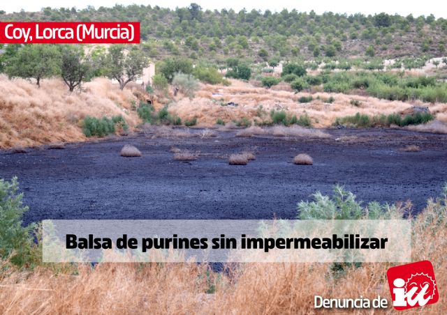 IU-Verdes muestra la otra cara de la ganadería intensiva en las Tierras Altas de Lorca - 5, Foto 5