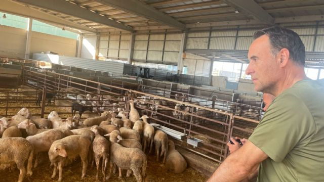 Ganaderos al borde del cierre: el equipo de Olona se compromete a luchar por la rentabilidad del sector cárnico - 1, Foto 1