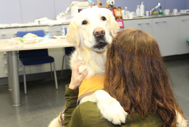 Inician un estudio científico para evaluar la mejora en pacientes adultos con trastorno de la conducta alimentaria (TCA), gracias a las Intervenciones Asistidas con Animales - 1, Foto 1