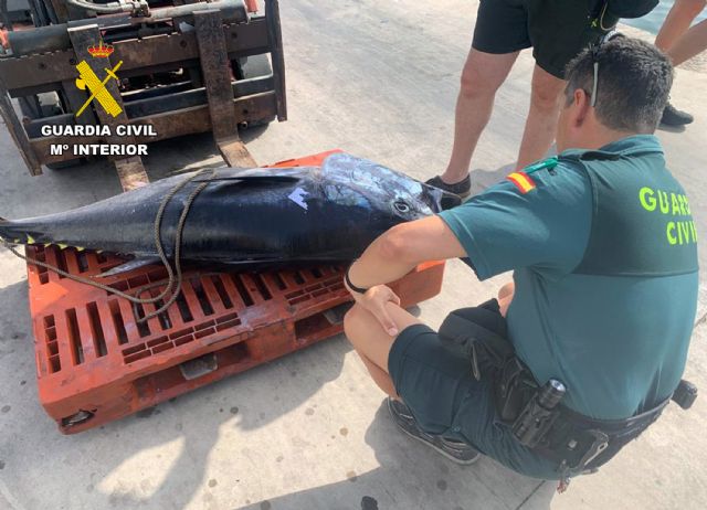 La Guardia Civil detecta a dos pescadores furtivos con un atún rojo en El Gorguel - 1, Foto 1