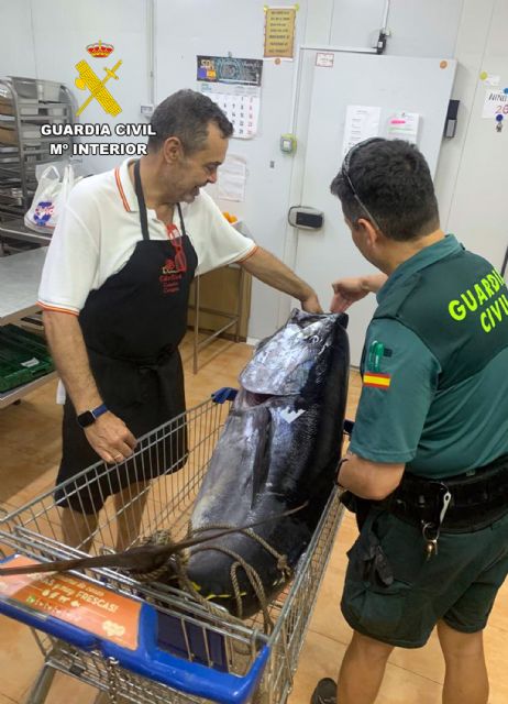 La Guardia Civil detecta a dos pescadores furtivos con un atún rojo en El Gorguel - 3, Foto 3