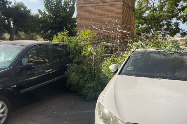 Daños en vehículos al caer ramas por viento en José María Lapuerta - 1, Foto 1