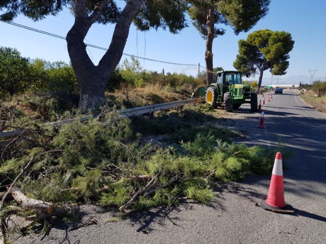 Mejoran la visibilidad y drenaje en 1.480 kilómetros de márgenes de carreteras regionales - 2, Foto 2