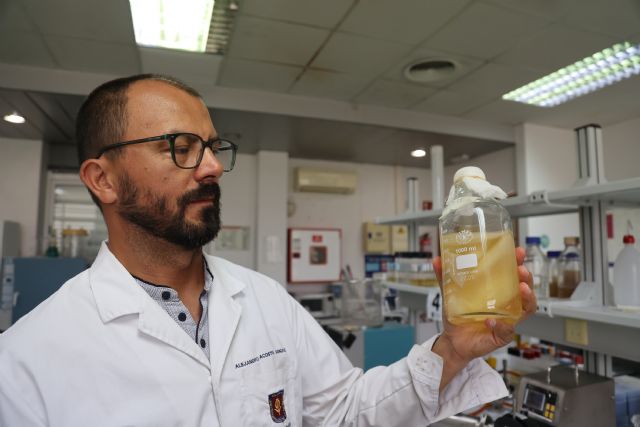 Diseñan un consorcio microbiano para la producción de nanocelulosa a partir de subproductos de naranja Diseñan un consorcio microbiano para la producción de nanocelulosa a partir de subproductos de naranja