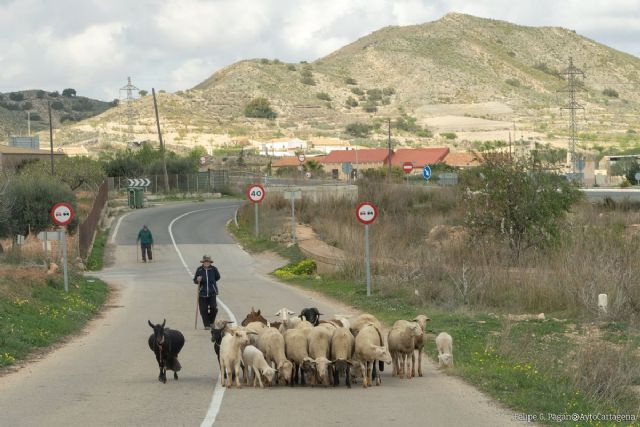 La alcaldesa anuncia que blindará la Zona Oeste contra explotaciones mineras ampliando la protección ambiental - 1, Foto 1