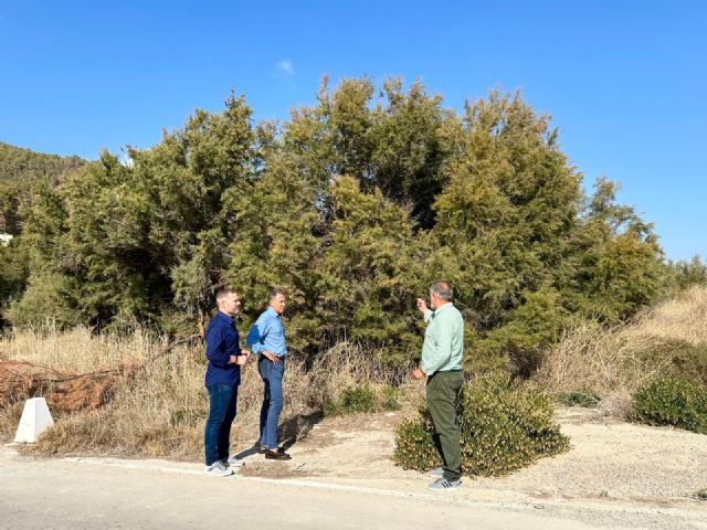 El alcalde de Lorca solicita a la Confederación que reconsidere su decisión y ejecute la limpieza urgente del cauce del río Guadalentín - 2, Foto 2