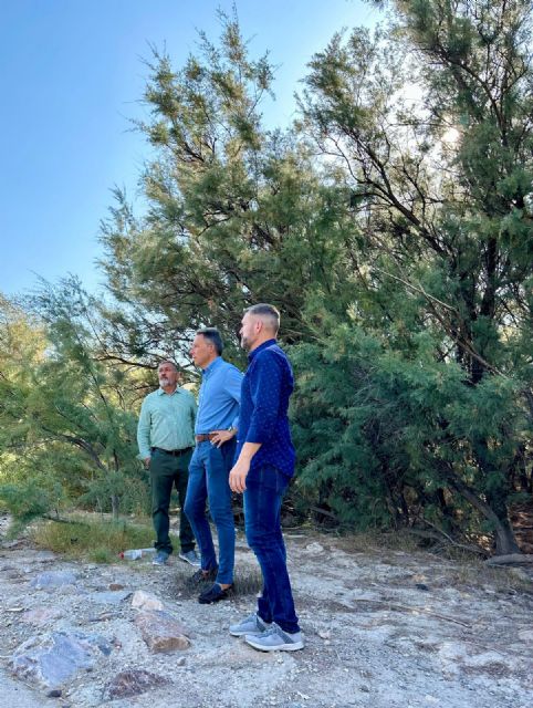 El alcalde de Lorca solicita a la Confederación que reconsidere su decisión y ejecute la limpieza urgente del cauce del río Guadalentín - 3, Foto 3