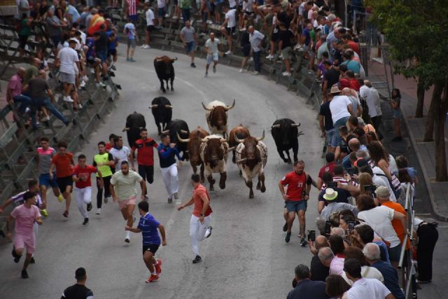 Encierro rápido y limpio con las reses de la ganadería de Los Chospes - 1, Foto 1