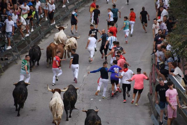 Encierro rápido y limpio con las reses de la ganadería de Los Chospes - 3, Foto 3