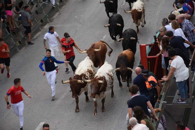 Encierro rápido y limpio con las reses de la ganadería de Los Chospes - 4, Foto 4