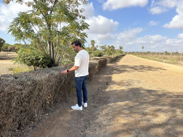 El Parque de los Exploradores refleja la despreocupación del gobierno de Arroyo por las zonas verdes del municipio - 1, Foto 1