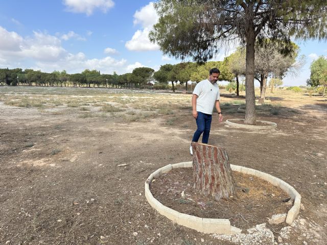 El Parque de los Exploradores refleja la despreocupación del gobierno de Arroyo por las zonas verdes del municipio - 3, Foto 3