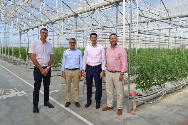 Cajamar y Signify firman un acuerdo para investigar el crecimiento de cultivos agrícolas con iluminación artificial - 4, Foto 4