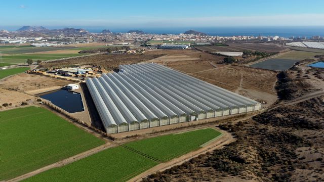 Looije, nominada a los premios ‘Innovation Hub’ de Fruit Attraction por un novedoso proyecto en invernadero - 1, Foto 1