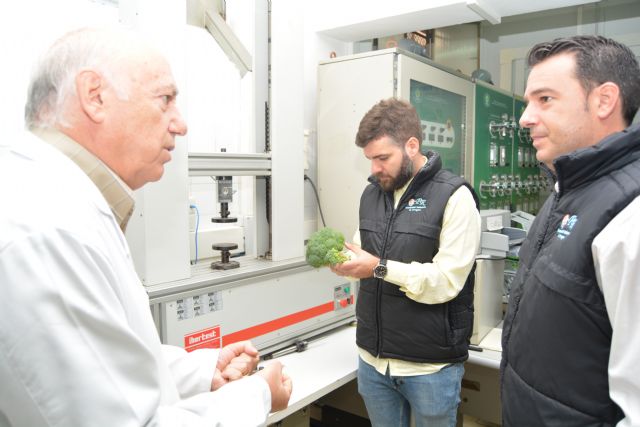 El grupo de investigación en Postrecolección y Refrigeración, galardonado en los premios Sakata - 1, Foto 1