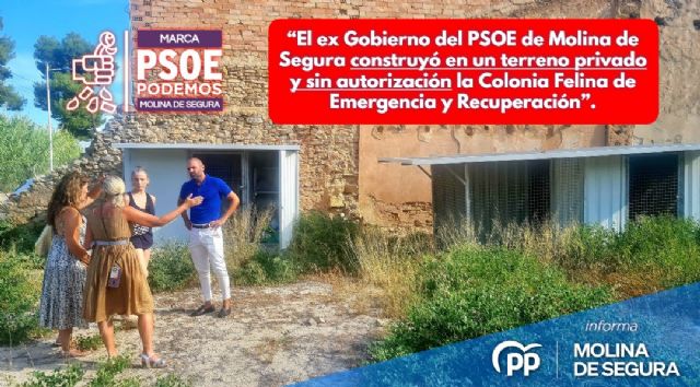 PP: El ex Gobierno del PSOE de Molina de Segura construyó en un terreno privado y sin autorización la Colonia Felina de Emergencia y Recuperación - 1, Foto 1