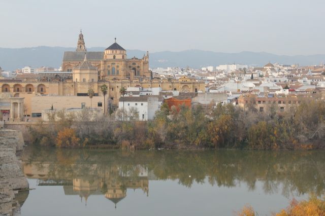 Murcia Los demandantes de vivienda en el norte prefieren plantas altas mientras que en el sur se decantan por las medias - 1, Foto 1