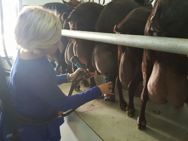 La Región de Murcia es la tercera comunidad en producción de leche de cabra - 1, Foto 1