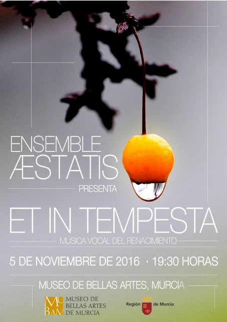 El Museo de Bellas Artes de Murcia acoge mañana un concierto de música antigua a cargo de Ensemble Aestatis - 1, Foto 1