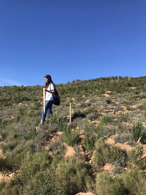 Carboon Proof reforestará 39 hectáreas arrasadas por incendios forestales en Gátova - 2, Foto 2