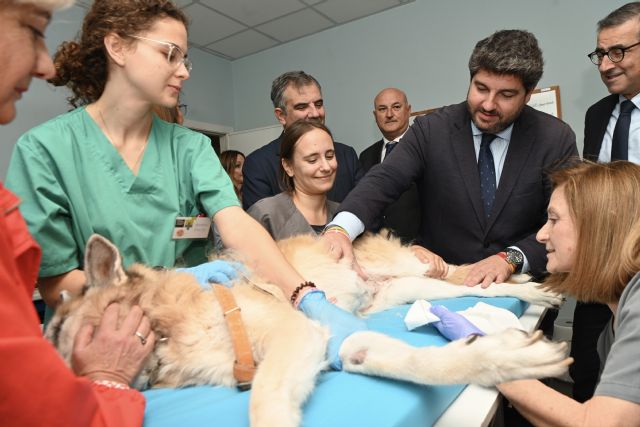 López Miras: El Hospital de Veterinaria de la UMU es un centro de referencia y sitúa a la Región a la vanguardia en innovación - 1, Foto 1