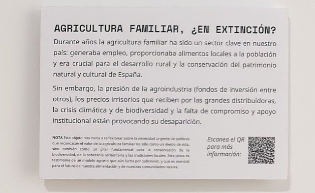 Greenpeace instala una pieza en el museo arqueológico de Murcia - 3, Foto 3