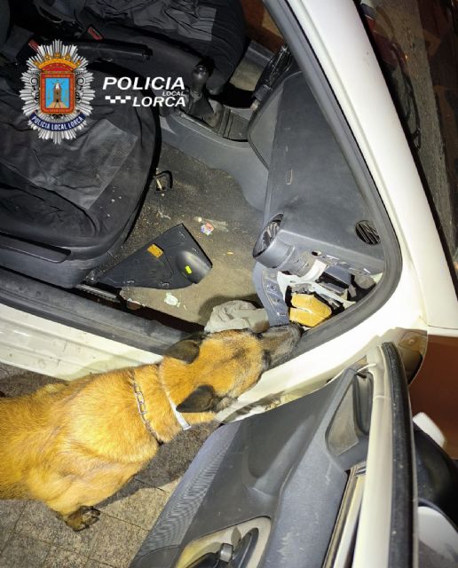 La Policía Local de Lorca detiene a tres personas por tráfico de drogas - 4, Foto 4