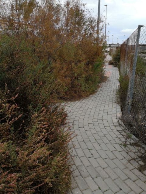 Vecinos de los Jardines piden a Ciudadanos ayuda ante la pasividad del Ayuntamiento para resolver problemas de la urbanización - 4, Foto 4