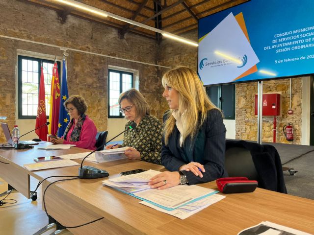 El Consejo Municipal de Servicios Sociales reúne al Tercer Sector de Murcia para presentar su balance anual - 3, Foto 3