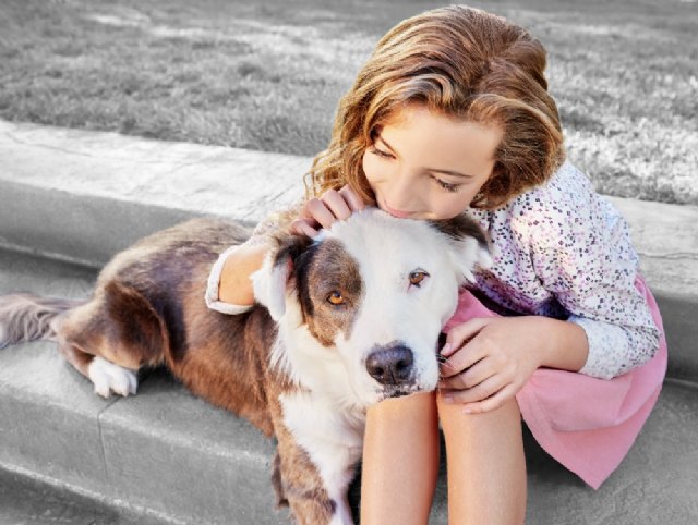 ¿Por qué convivir con un animal es bueno para la salud? - 1, Foto 1