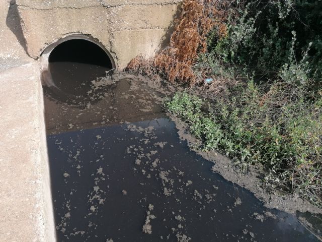 - NOTA DE PRENSA- Sosa emplaza al alcalde a visitar las lagunas contaminadas y pestilentes del río Guadalentín - 2, Foto 2