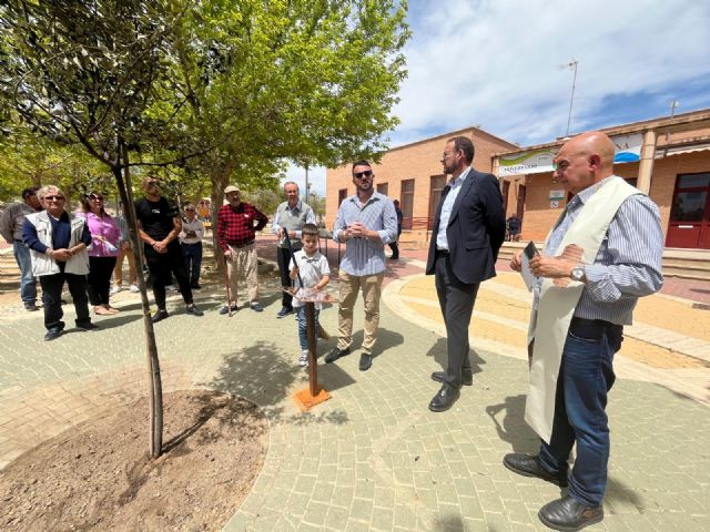 Sucina conmemora su 280 aniversario con la plantación de una encina de dos metros de altura en su plaza principal - 3, Foto 3